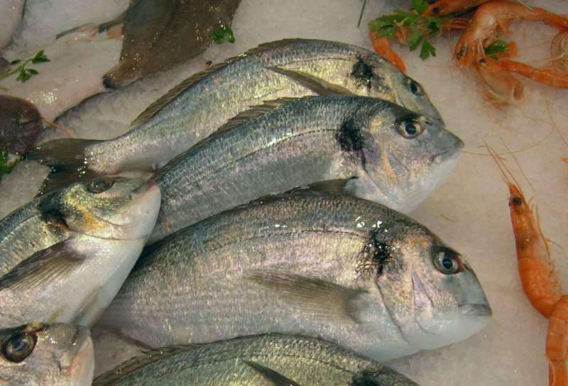 Aux Fruits De La Mer Poissonnerie Aix En Provence 13100 (adresse