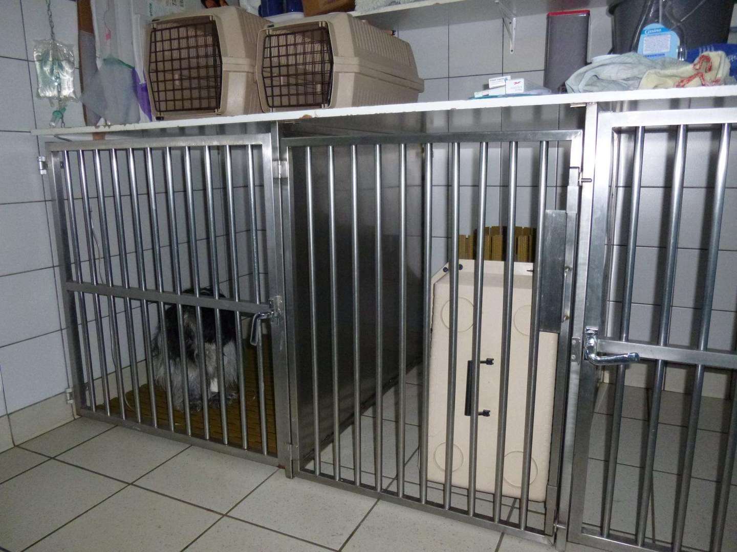 Clinique Vétérinaire Les Grands Prés Vétérinaire Sainte Marie De