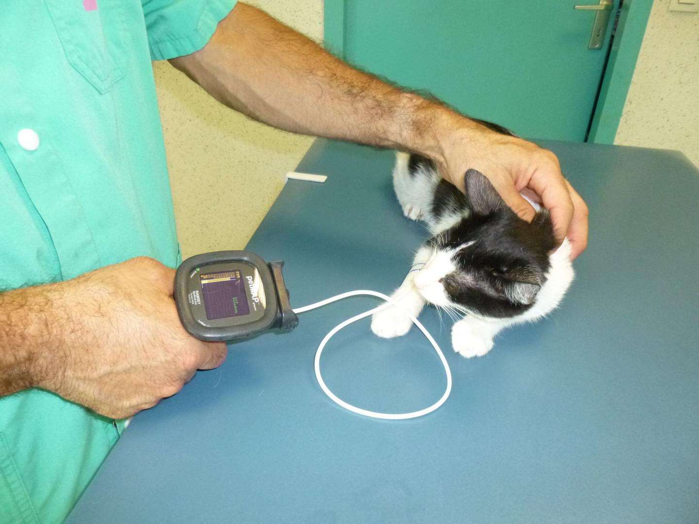 Clinique Vétérinaire Les Grands Prés Vétérinaire Sainte Marie De