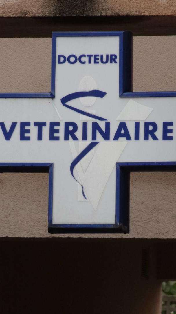 Clinique Vétérinaire De La Gare Vétérinaire Fosses 95470 (adresse, horaire et avis)