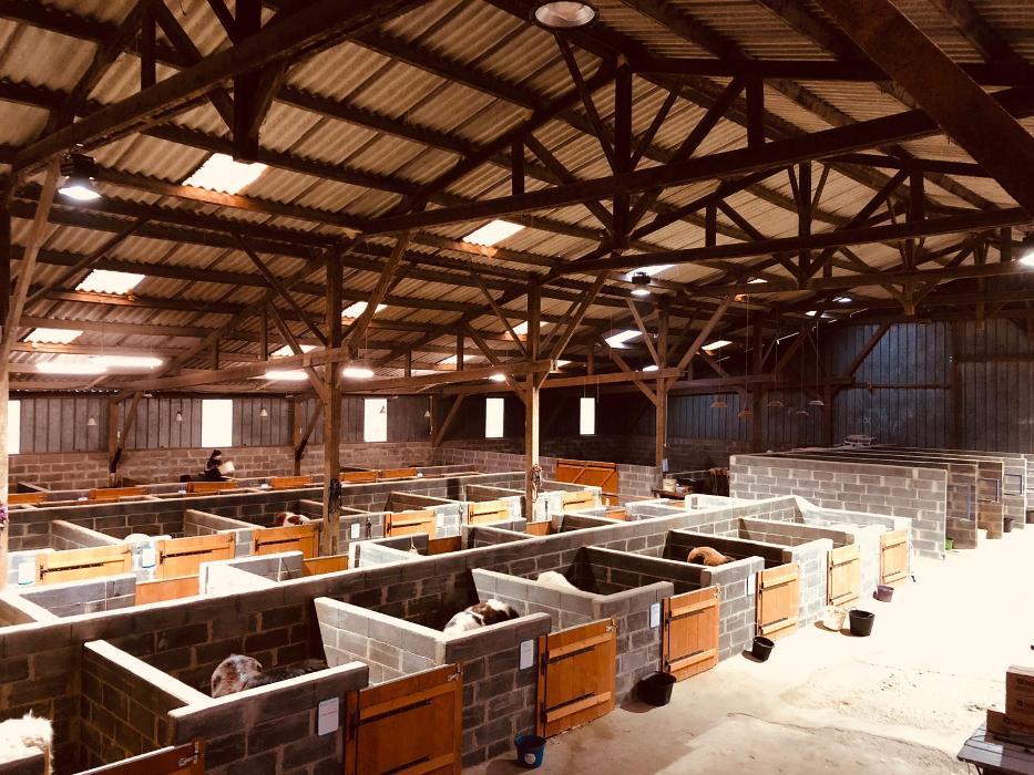 Elevage De La Buise Centre équestre Hendecourt Lès Ransart 62175