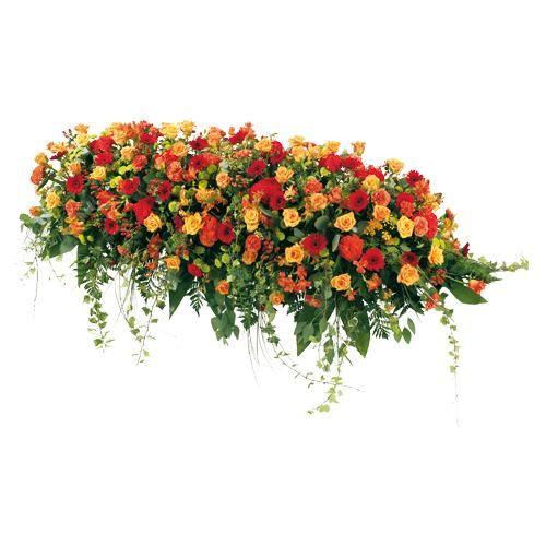 Fleurs Et Passion : Fleuriste Salies De Béarn 64270 (adresse, horaire et  avis)