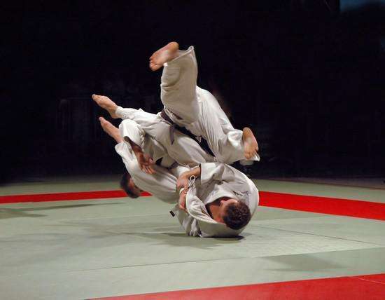 Judo Club Fronton : Association Sportive Fronton 31620 (adresse, horaire et  avis)