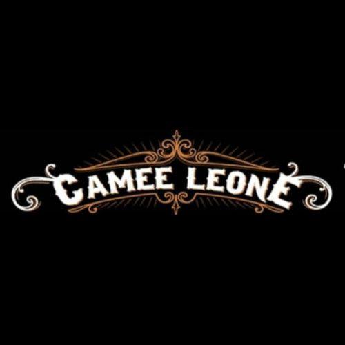 Le Camee Leone Etablissement Scolaire Cuers 390 Adresse Horaire Et Avis