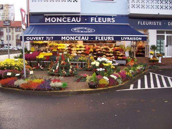 Monceau Fleurs : Fleuriste Forbach 57600 (adresse, horaire et avis)