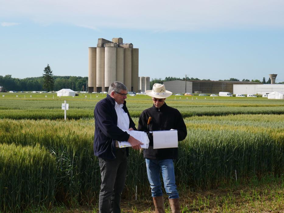 Scara Autre Villette Sur Aube 10700 (adresse, horaire et avis)