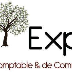 Comptable 1001 EXPERTISE - 1 - 