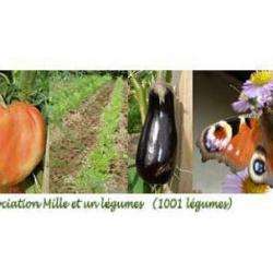 Alimentation bio 1001 légumes Siège - 1 - 