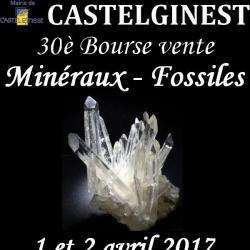 Bourse Minéraux Et Fossiles Castelginest