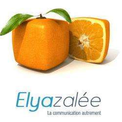 Commerce Informatique et télécom Elyazalée - communication - web - 1 - 