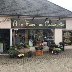 A La Fleur De Clémentine Changé