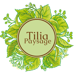 Tilia Paysage Six Fours Les Plages