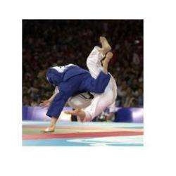 A.amic.sport Fresnes Judo Ivry Sur Seine