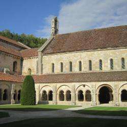 Abbaye De Fontenay Montbard