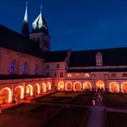 Musée Abbaye De Fontevraud - 1 - 