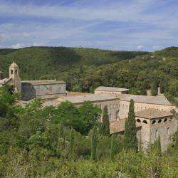 Site touristique Abbaye de Fontfroide - 1 - 