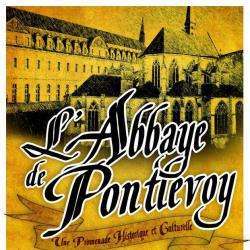 Site touristique abbaye de PONTLEVOY - 1 - 