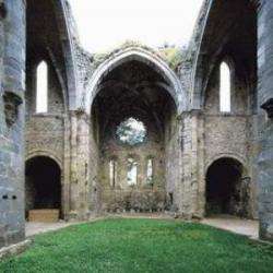 Site touristique Abbaye Villelongue - 1 - 