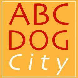 Dressage Abc Dog City - 1 - 
