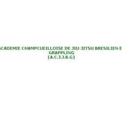 Académie Champcueilloise De Jjb Champcueil