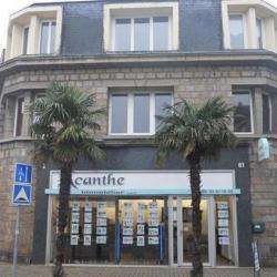 Agence immobilière Acanthe Immobilier - 1 - 