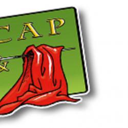 Autre ACAP & DP - 1 - 