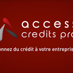 Access Credits Pro Palaiseau