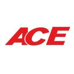 Centres commerciaux et grands magasins ACE - 1 - 