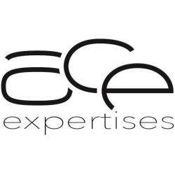 Ace Expertises Toulouse