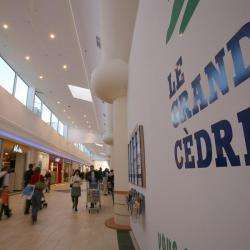 Centres commerciaux et grands magasins Achères Le Grand Cedre - 1 - 