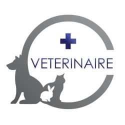 Adhocvet Clinique Vétérinaire Castets