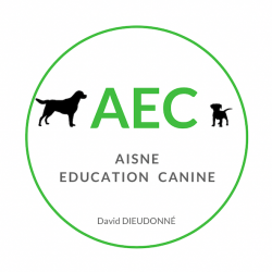 Aec - Aisne éducation Canine Saint Quentin