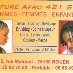 Coiffeur AFRO 421 STYLE - 1 - 