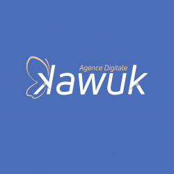 Agence Digitale Kawuk ???? Création De Sites Internet Et Référencement Google Saint François