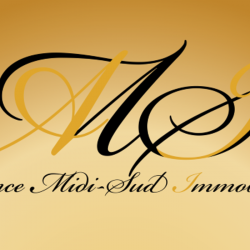 Agence immobilière Agence Midi Sud Immobilier - 1 - 