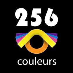 Agence Seo Lyon - 256 Couleurs Lyon