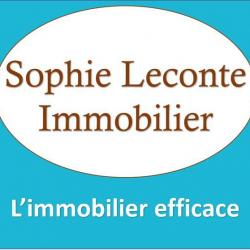 Agence immobilière Agence Sophie Leconte Immobilier - 1 - 