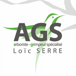 Jardinage AGS Arboriste Grimpeur Spécialisé - 1 - 