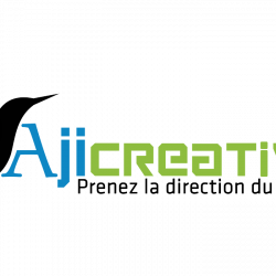 Aji Creative Web Consulting Créteil