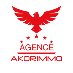 Agence immobilière Akorimmo Nice centre - 1 - 