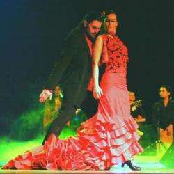 Al Andalus Flamenco Lyon