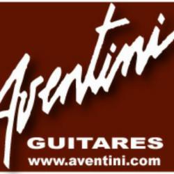 Alain Aventini Luthier Marseille