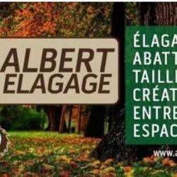 Albert Elagage Abattage D'arbres Courtry