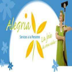 Dépannage Alegria - 1 - 