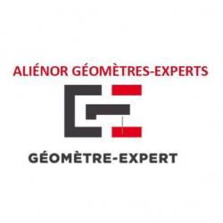 Diagnostic immobilier Alienor Geometres-experts - 1 - 