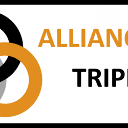Alliance Triphasee Romilly Sur Seine