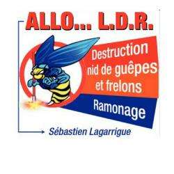 Ramonage Allo Ldr - 1 - 