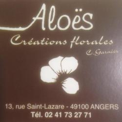 Fleuriste Aloes - 1 - 