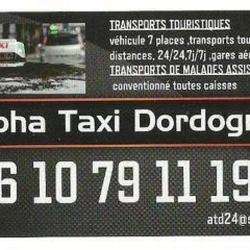 Alpha Taxi Dordogne Lamonzie Saint Martin