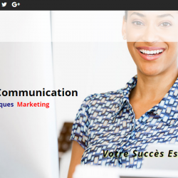 Alrc Agence Le Rocher Communication Paris